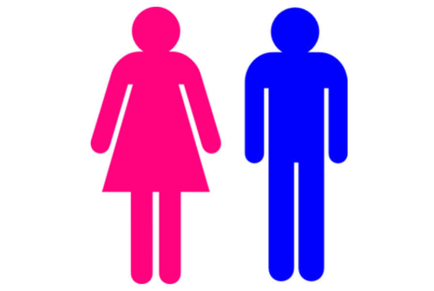 genderism