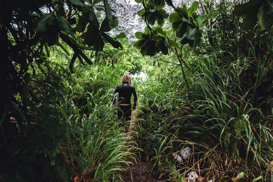 workplace like a jungle, HR,