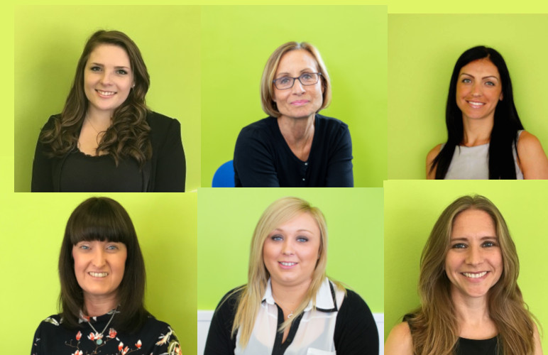 Meet the Dovetail Team