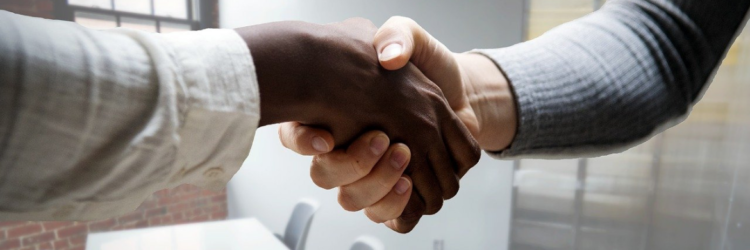 IT and Technical (2) HR recruitment dorset