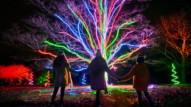 Festive Events Dorset